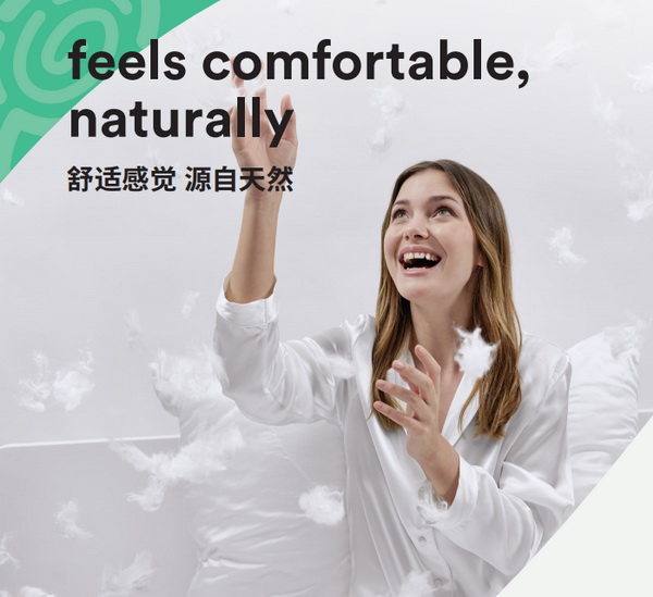 �ļ�����z™Ʒ���Rِ������w�S�ɞ錦��?ji��)�⣬���o˯�ߵ�����