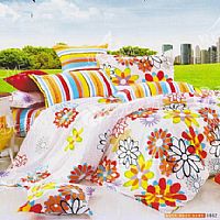 ���Ƽ�(x��)�Z(y��)