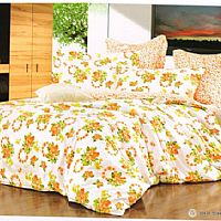 С�~���㣨С����