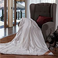 ��һ���ʾ��Q�z��