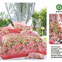 3869A 3870B���鹫Ԣ2(ӡ)