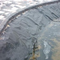 ����Ĥ,��(f��)��Ĥ