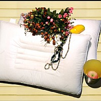 ��������ţ���w�S�B(y��ng)���о