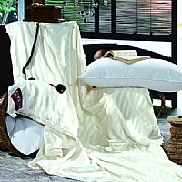 �����A�F�Q�z�ı�