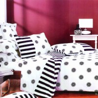 ���e�� �ļ��� �����c(di��n)�c(di��n)