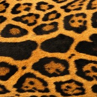 ���b����