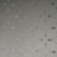 С�Ứɳ�l(f��)���b�����