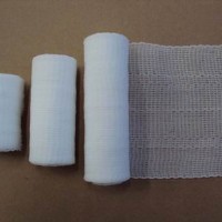 PBT��������