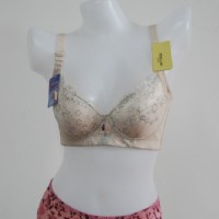 �F�������w�S����