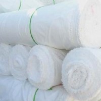 ȫ������