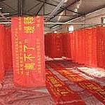 �V�沼�l����