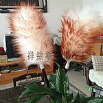 ��Ϫ�坍���m��ë�������_��ë�������l(f��)