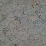 ��(k��)�洰����