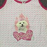 ���D(zhu��n)�ƠC��(hu��)