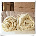 �����Ӻ���ĸɣ�Q�z��