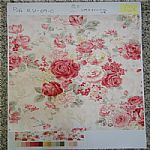 ȫ��Ⱦɫ��ӡ��