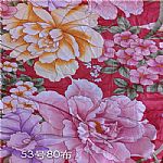 ȫ��Ⱦɫ��ӡ��