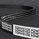 ���W�ȶ�Ш�����WƤ���x�Ϻ�����