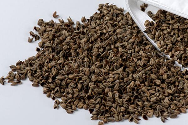 ��������Ȼ���������ѻ��Ҽ��ĸ�ɽ���w������s�ߴ����﷦����