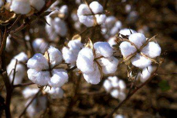 ��������Ȼ���������ѻ��Ҽ��ĸ�ɽ���w������s�ߴ����﷦����