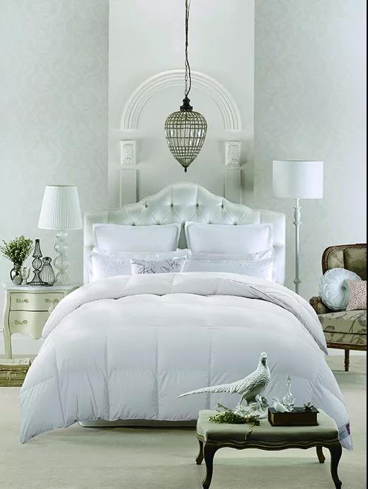 ����Ʒ�Z�q������(bi��o)��(zh��n)���_(t��i)���쿴�����I�ı����_(d��)��(bi��o)�˛](m��i)��