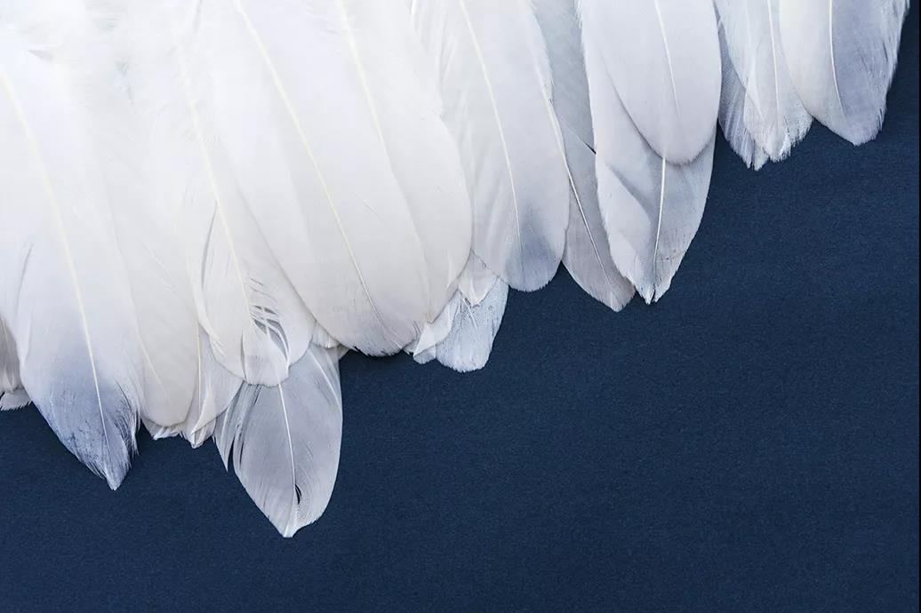 ����Ʒ�Z�q������(bi��o)��(zh��n)���_(t��i)���쿴�����I�ı����_(d��)��(bi��o)�˛](m��i)��