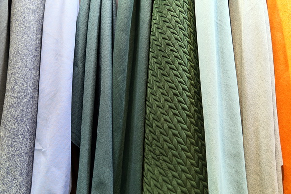 �������25�d��δ��(l��i)������k��--2019�ﶬ�Ҽ�չ�ڇ�(gu��)�ҕ�(hu��)չ���ģ��Ϻ����A���_Ļ