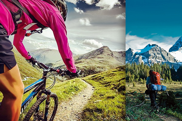 �����w�S���Ƴɹ������ܿ��������؜ر����{(di��o)����������ʲô�W����